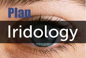 PIR- Plan Iridology
